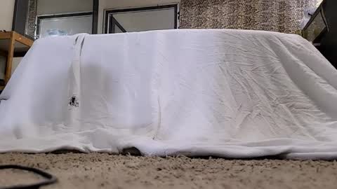 Bootyshows online show from 12, 3, 2026