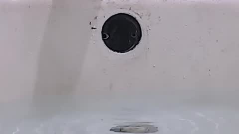 Bootyshows online show from 15, 3, 2026