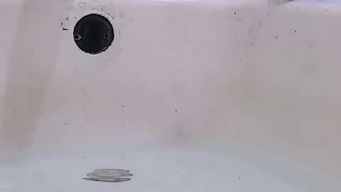 Bootyshows online show from 16, 3, 2026