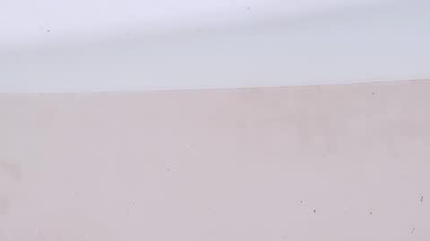 Bootyshows online show from 22, 3, 2026