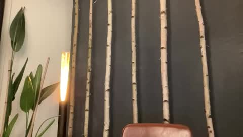 RoJan online show from 24, 2, 2026