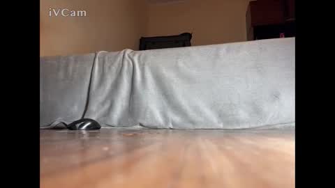 jarrettsss online show from 14, 11, 2025