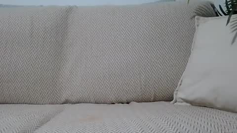 Snapshot of jasmin6501 chatting on 11, 10, 2025 Ella0105 online show from 11, 10, 2025