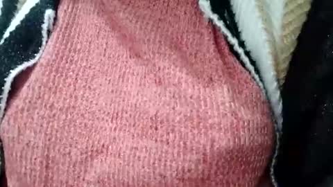 Snapshot of jasspreettt chatting on 1, 2, 2025 jasspreettt online show from 1, 2, 2025