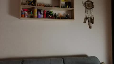 Snapshot of jastinpet chatting on 13, 11, 2025 jastinpet online show from 13, 11, 2025