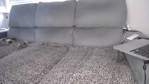 Snapshot of javierandaniel chatting on 7, 12, 2024 Javier online show from 7, 12, 2024