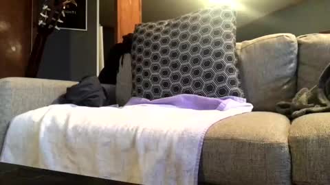 Jaws  online show from 18, 11, 2025