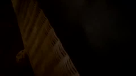 Snapshot of jaxxxso chatting on 19, 1, 2025 jaxxxso online show from 19, 1, 2025