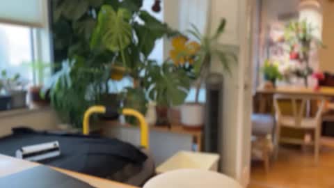 jaxz29 online show from 20, 2, 2026