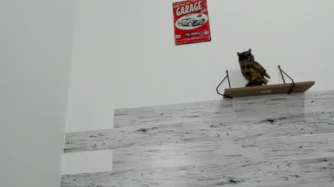 Snapshot of jaycreedd chatting on 12, 10, 2025 Jaycreedd online show from 12, 10, 2025