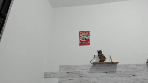 Snapshot of jaycreedd chatting on 25, 10, 2025 Jaycreedd online show from 25, 10, 2025