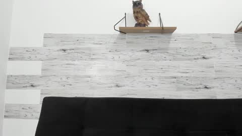 Snapshot of jaycreedd chatting on 29, 10, 2025 Jaycreedd online show from 29, 10, 2025