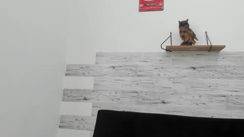 Snapshot of jaycreedd chatting on 2, 11, 2025 Jaycreedd online show from 2, 11, 2025