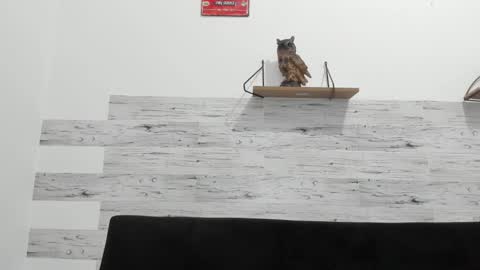 Snapshot of jaycreedd chatting on 3, 11, 2025 Jaycreedd online show from 3, 11, 2025