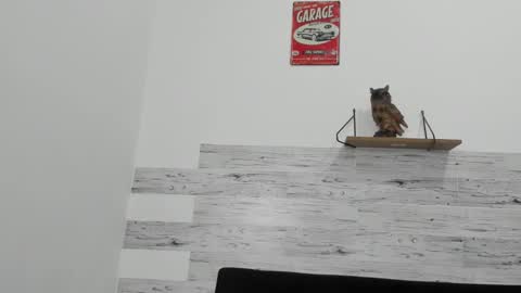 Snapshot of jaycreedd chatting on 11, 11, 2025 Jaycreedd online show from 11, 11, 2025