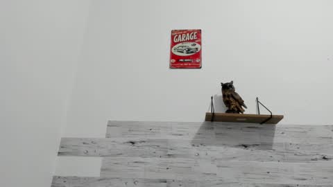 Snapshot of jaycreedd chatting on 21, 11, 2025 Jaycreedd online show from 21, 11, 2025