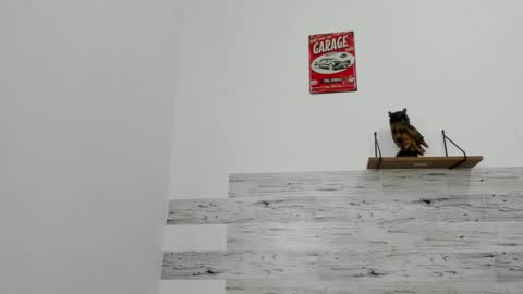 Snapshot of jaycreedd chatting on 22, 11, 2025 Jaycreedd online show from 22, 11, 2025