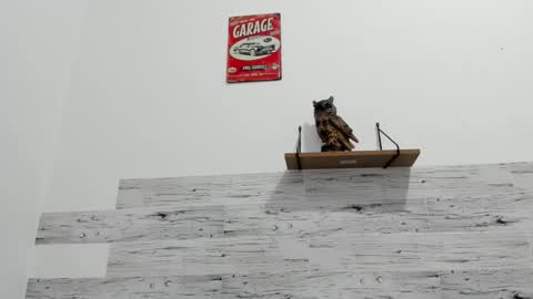 Snapshot of jaycreedd chatting on 25, 11, 2025 Jaycreedd online show from 25, 11, 2025