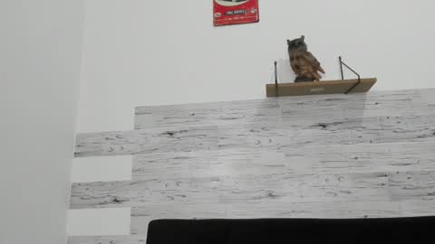 Snapshot of jaycreedd chatting on 26, 11, 2025 Jaycreedd online show from 26, 11, 2025