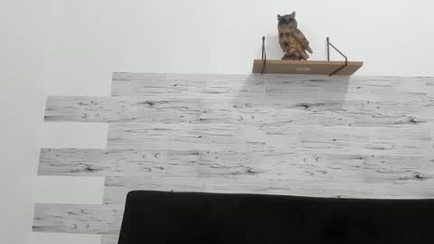 Snapshot of jaycreedd chatting on 28, 11, 2025 Jaycreedd online show from 28, 11, 2025