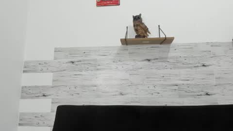 Snapshot of jaycreedd chatting on 5, 12, 2025 Jaycreedd online show from 5, 12, 2025