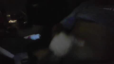 Snapshot of jaywulf22 chatting on 17, 1, 2026 jaywulf22 online show from 17, 1, 2026