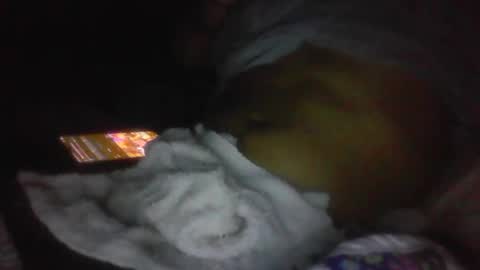 Snapshot of jaywulf22 chatting on 19, 1, 2026 jaywulf22 online show from 19, 1, 2026