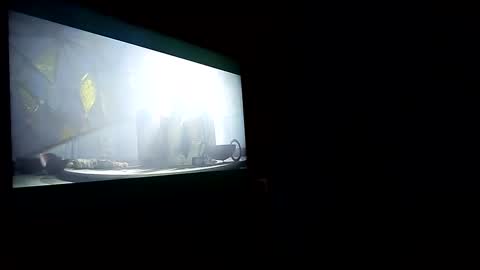 jayjay online show from 28, 2, 2025