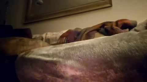 Jcramirez1975s online show from 21, 12, 2024