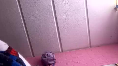 jdsj1a873165 online show from 18, 3, 2026