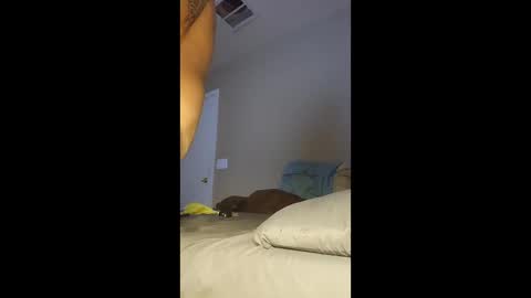 Snapshot of jdtripp15 chatting on 13, 1, 2026 jdtripp15 online show from 13, 1, 2026