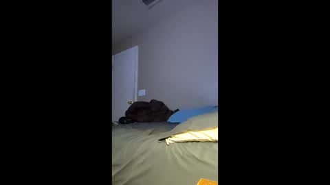 Snapshot of jdtripp15 chatting on 15, 2, 2026 jdtripp15 online show from 15, 2, 2026