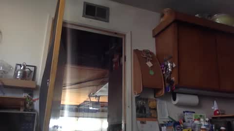 jdubba420 online show from 27, 10, 2025