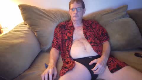 Bear in Massachusetts online show from 27, 9, 2025