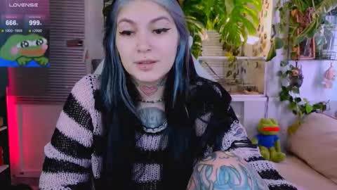 Jelya online show from 8, 11, 2025