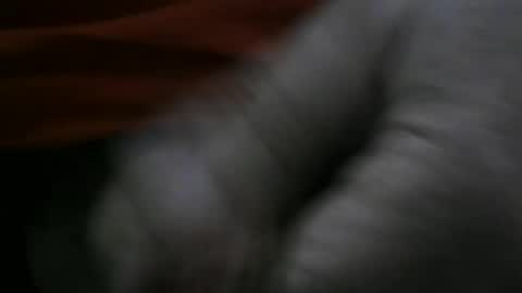 Snapshot of jerom111111111 chatting on 2, 1, 2025 jerom111111111 online show from 2, 1, 2025