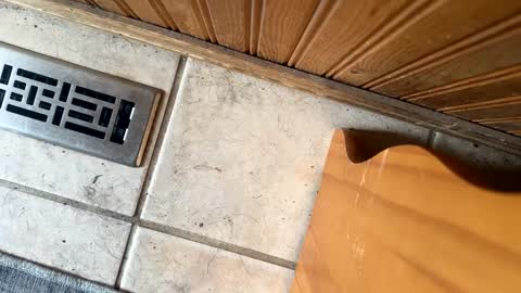 Jeremys room chill and puff one enjoy online show from 19, 9, 2025