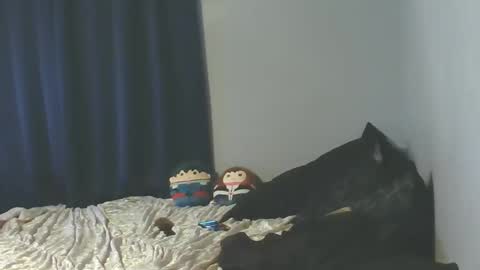 Sissy Jessica online show from 8, 1, 2026