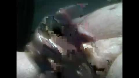 Snapshot of jimboluv488 chatting on 18, 12, 2024 jimboluv488 online show from 18, 12, 2024