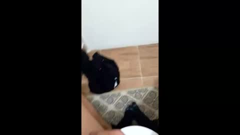 Snapshot of jixldfseepsv chatting on 17, 1, 2026 jixldfseepsv online show from 17, 1, 2026