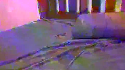 tip me online show from 17, 2, 2025