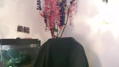 Nick online show from 6, 12, 2024