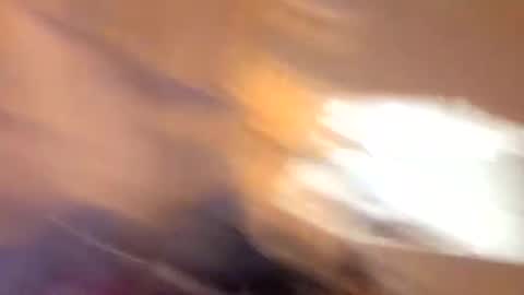 john0131739980 online show from 19, 9, 2025