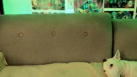 Snapshot of johncarrie chatting on 28, 9, 2025 John carrie Independent Help me reach my goal 100 likes and 10000 followers online show from 28, 9, 2025