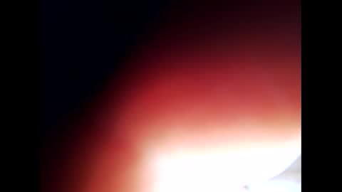 johnlong25cm online show from 24, 12, 2024