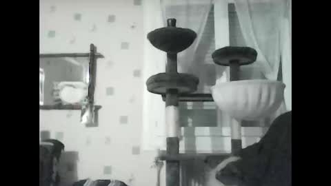 jojo60000529566 online show from 8, 1, 2025