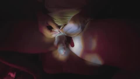 jonahshyfap online show from 9, 1, 2025