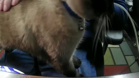 jonsexy1958 online show from 6, 1, 2025