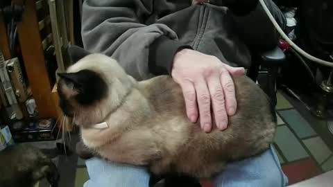 jonsexy1958 online show from 16, 1, 2025