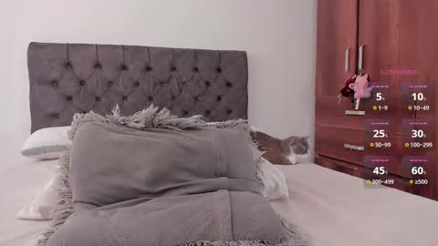 Will online show from 28, 2, 2026